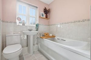 Photo 15- click for photo gallery